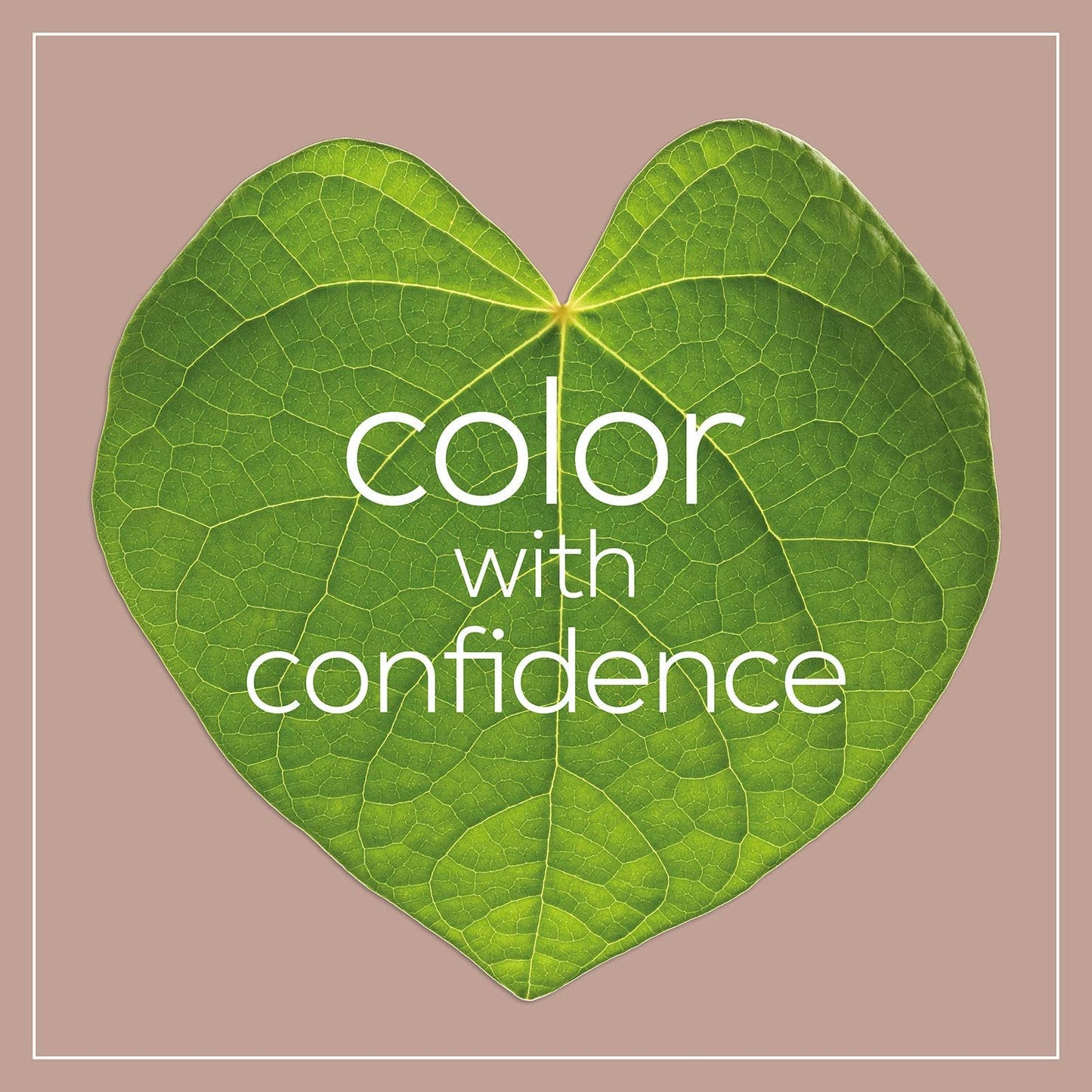 Naturtint Hair Color 8G Sandy Golden Blonde Count