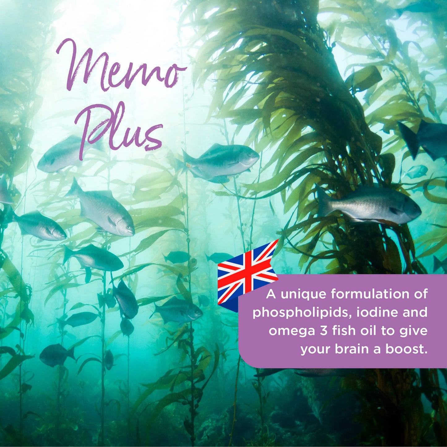 healthspan Healthspan Memo Plus (2 months' supply) | To support your brain Health & cognitive function | 350mg Advanced Phospholipid Complex | 179mg Omega 3 Fish Oil | 75µg Iodine | Friend of the Sea | One-a-day