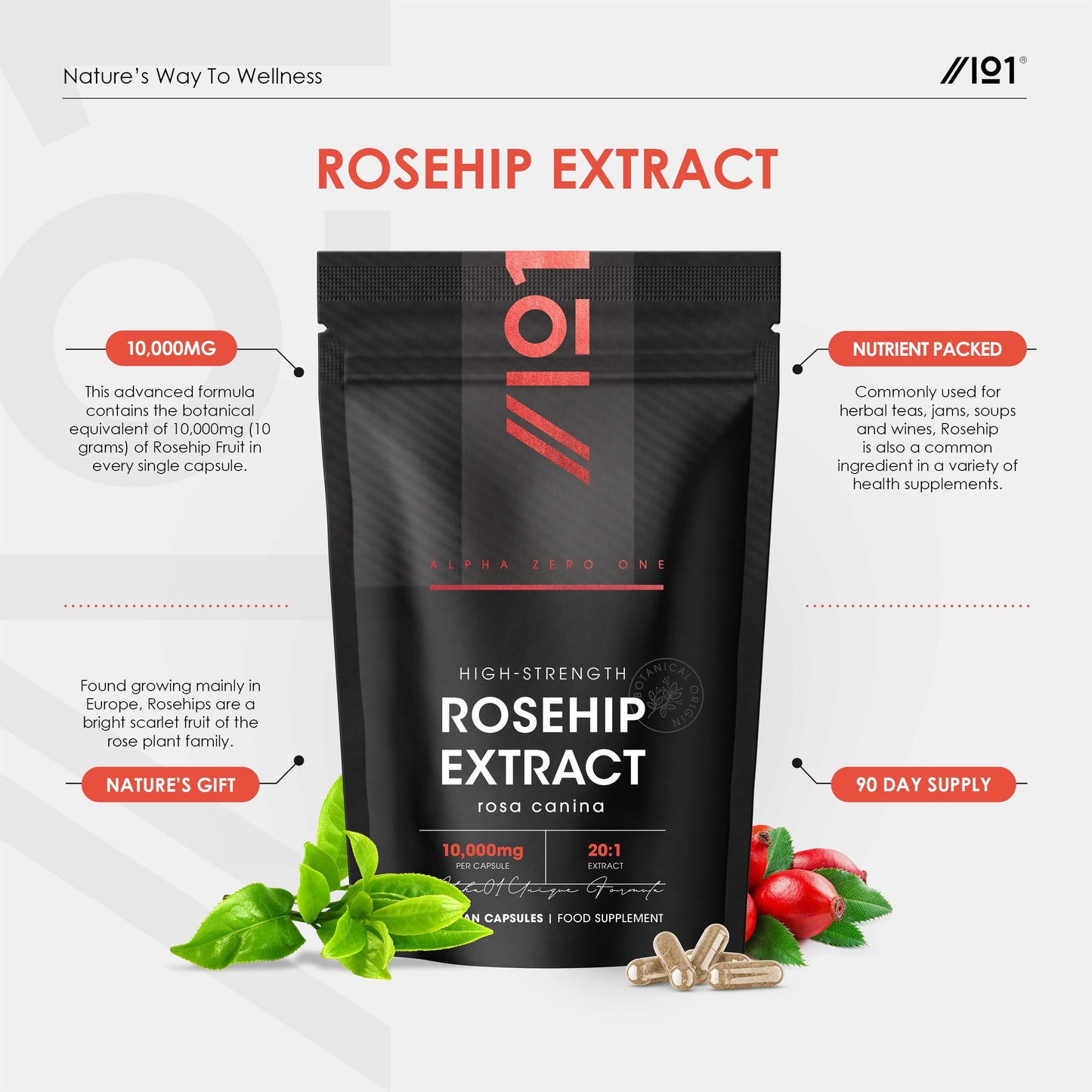 Rosehip Extract 10,000mg - High Strength 20:1 Extract Rosa Canina Supplement – 90 Vegan Capsules (3 Months Supply) – Resealable and Recyclable Pouch by Alpha01
