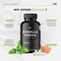 Boswellia Serrata Extract 3000mg - 65% Boswellic Acid (150mg per Capsule) - Indian Frankincense - 120 Vegan Capsules (4 Months Supply)