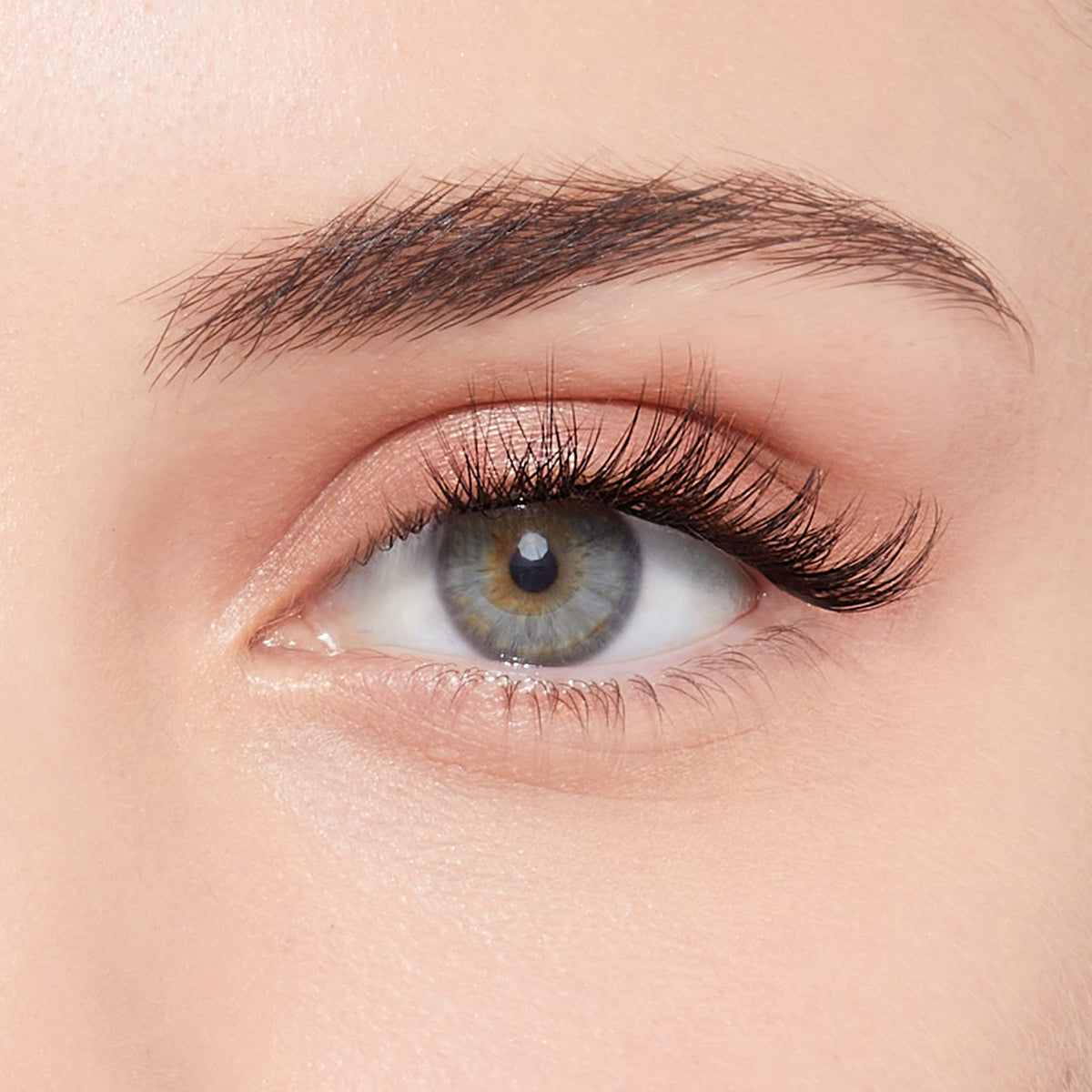 KISS imPRESS Press-On Falsies Eyelash Clusters Kit, Natural, Black, No Glue Needed, Fuss Free, Invisible Band, Natural, 24 Hours, No Damage, No Sticky Residue, Gorgeous, Quick & Easy | 20 Clusters