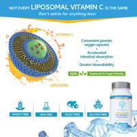 swiss bioenergetics Liposomal Vitamin C Complex with Zinc, Selenium and Copper : All-in-ONE Enhanced Absorption Immune Support : 250mg, 120 Vegan Capsules (4 Month Supply) : Non-GMO, Made in UK