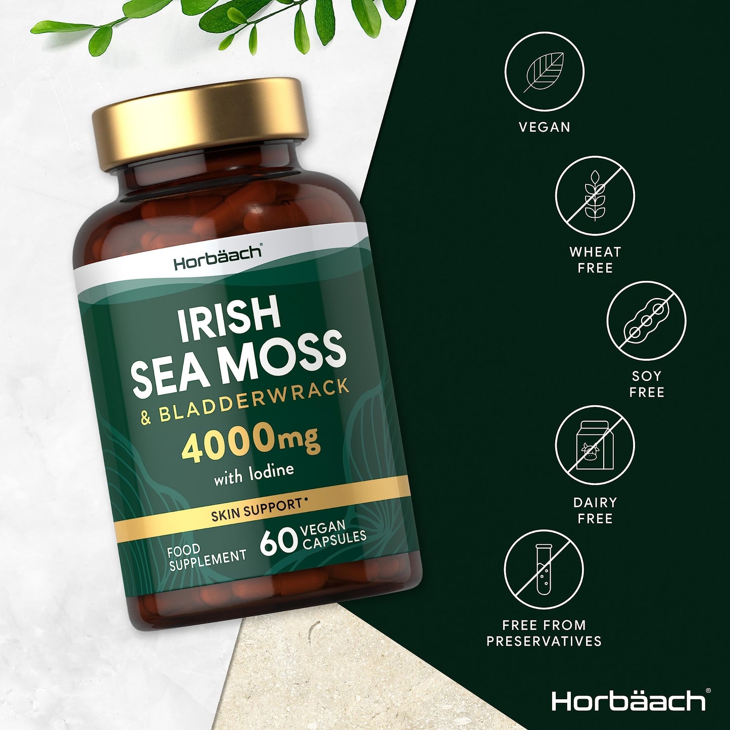 Irish Sea Moss and Bladderwrack Capsules 4000mg | 60 Capsules | Complex with Iodine | by Horbaach