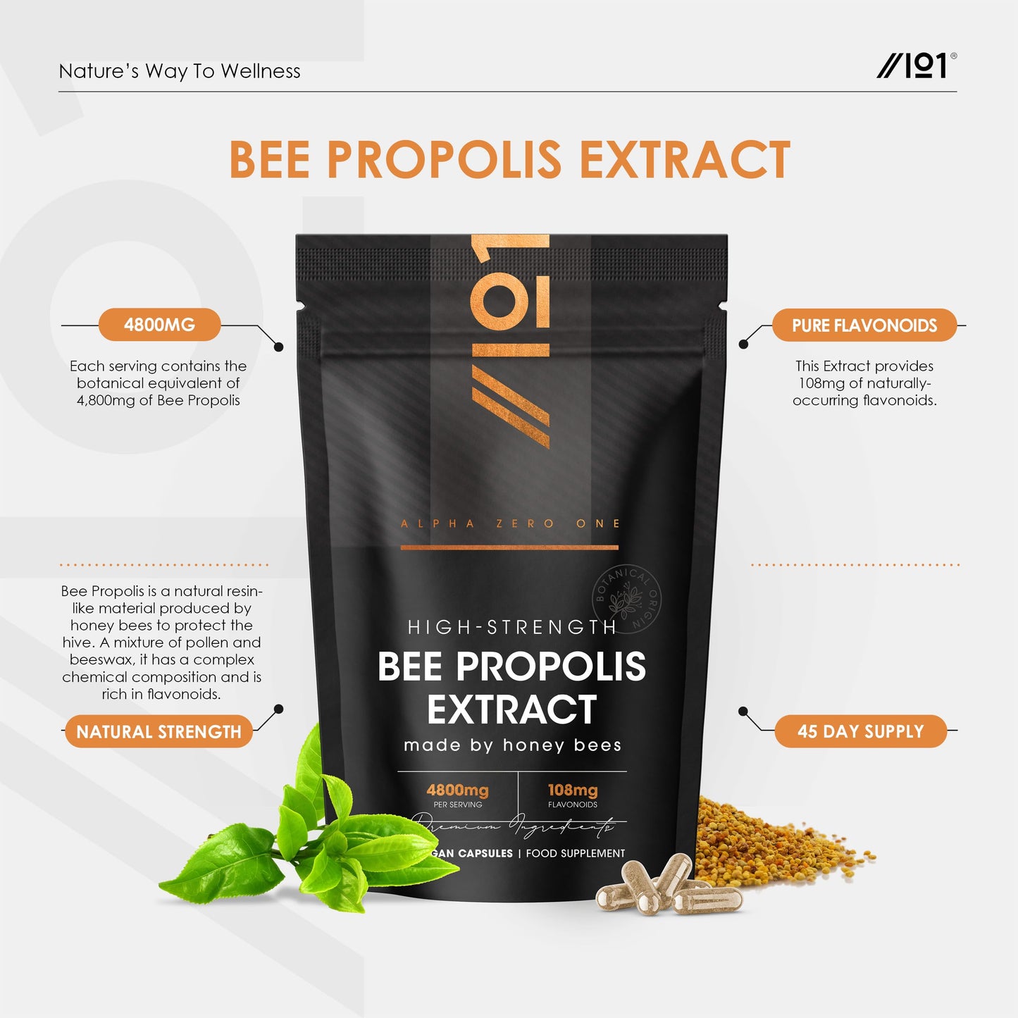 ALPHA01 Bee Propolis Extract 4800mg - 108mg Flavonoids Propolis Supplement - 90 Vegan Capsules - Resealable and Recyclable Pouch by Alpha01