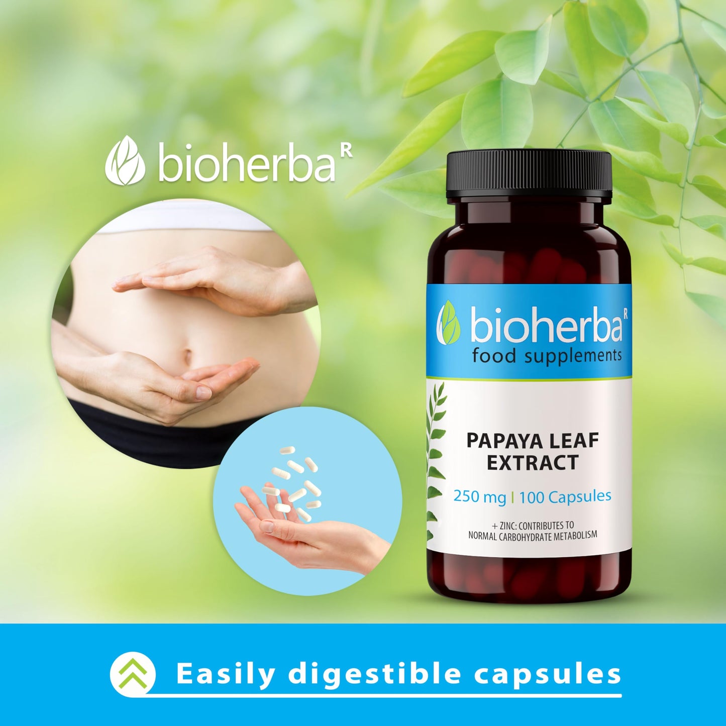 Papaya Leaf 200 mg - 200 Capsules by BIOHERBA | Natural Digestive Support & Immune Booster with Powerful Enzymes for Overall Wellness