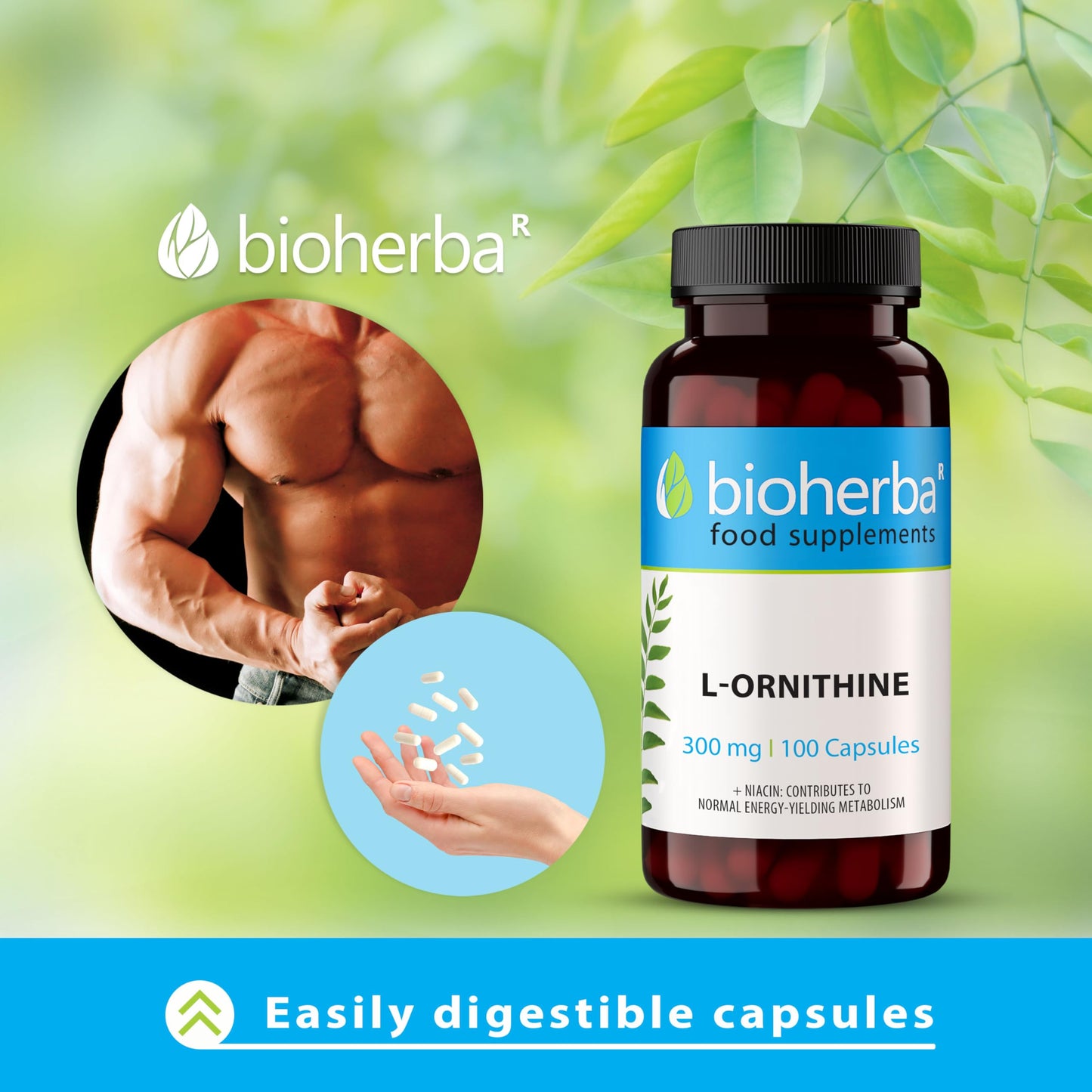 L-Ornithine 300 mg – 300 Capsules | Pure Amino Acid Supplement for Active Nutrition by BIOHERBA