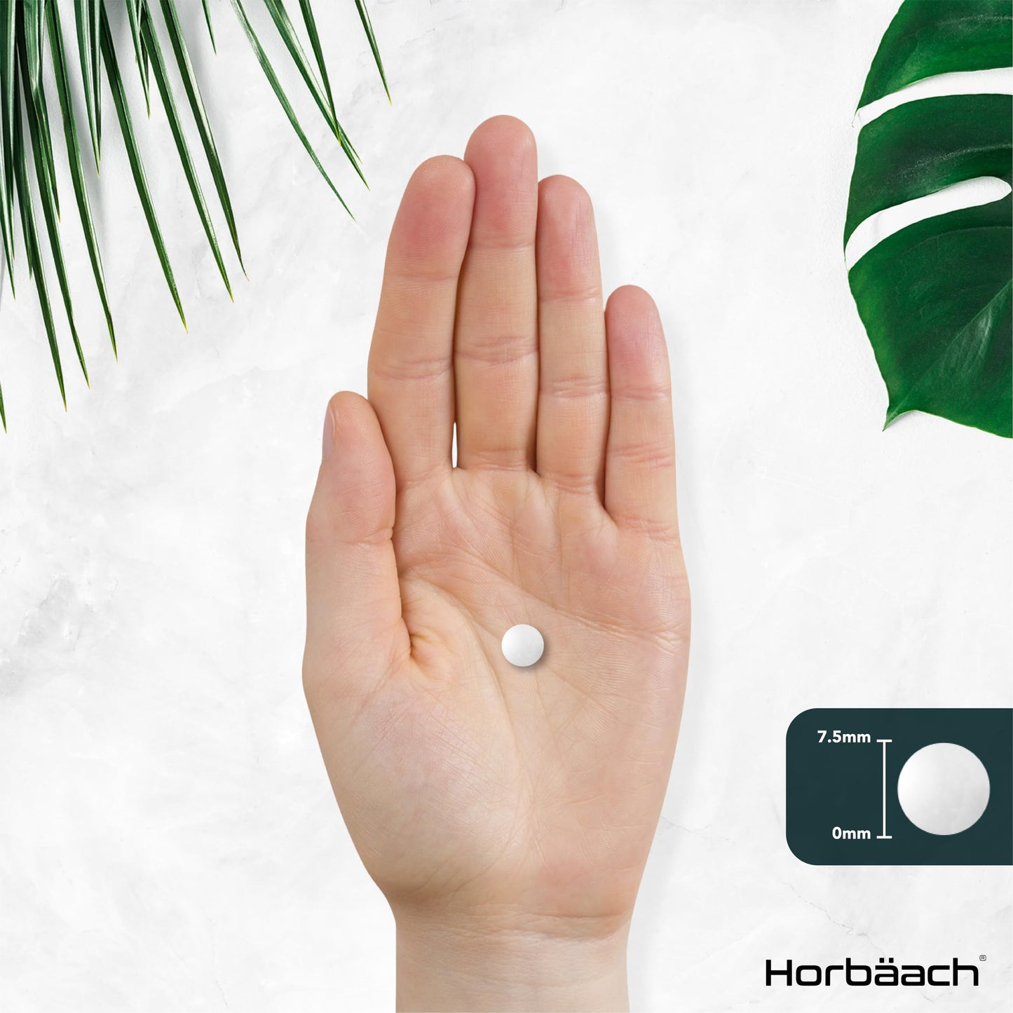 Horbäach Calcium Tablets | Calcium, Magnesium, Zinc and Vitamin D | High Strength Complex | 120 Vegan Tablets | Supplement for Women & Men | Horbaach