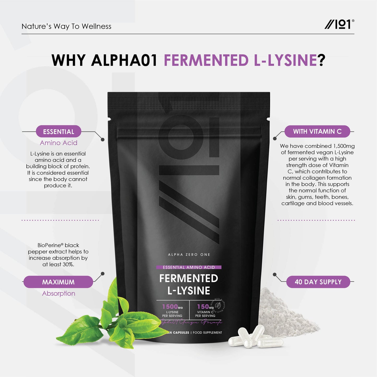 Fermented L-Lysine 1500mg with BioPerine® - Made with Vitamin C - High Strength - Raw, Halal, 120 Vegan Capsules
