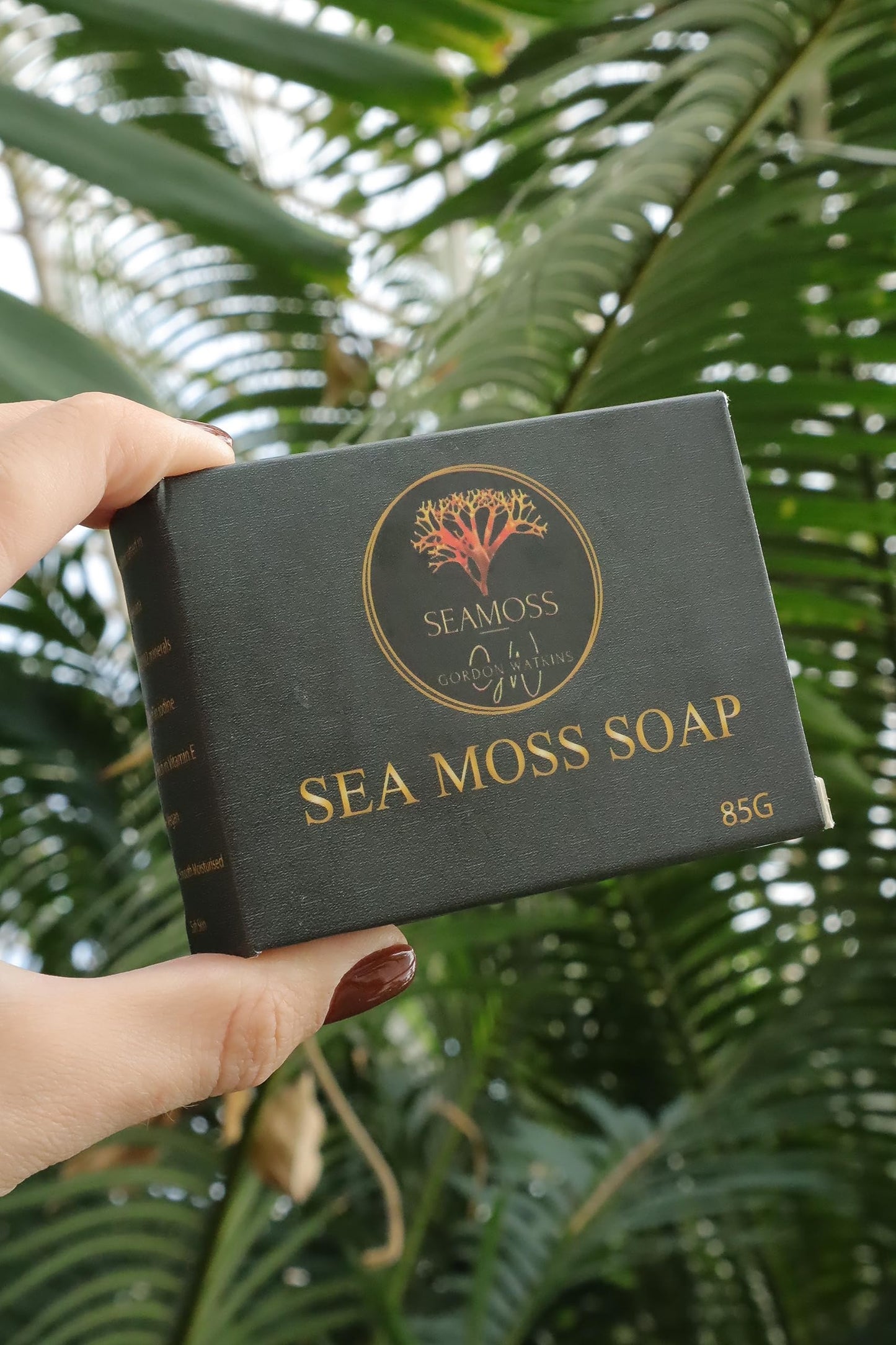 Sea Moss Soap, made with wild crafted Sea Moss from Grenada. Vegan | Organic | Handmade | Eco (Sea Moss)