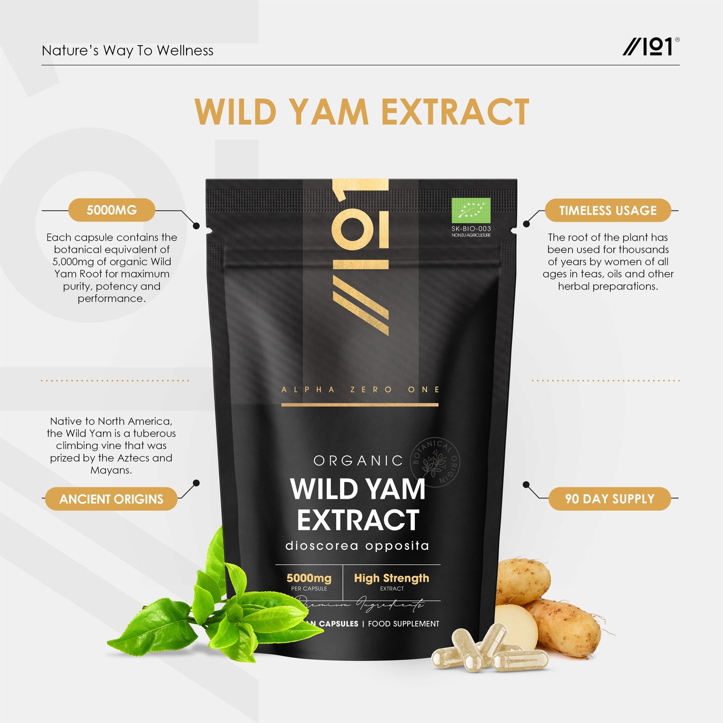 Organic Wild Yam Extract 5000mg - High Strength 10:1 Dioscorea Opposita Extract Supplement - 90 Vegan Capsules (3 Month Supply) - by Alpha01