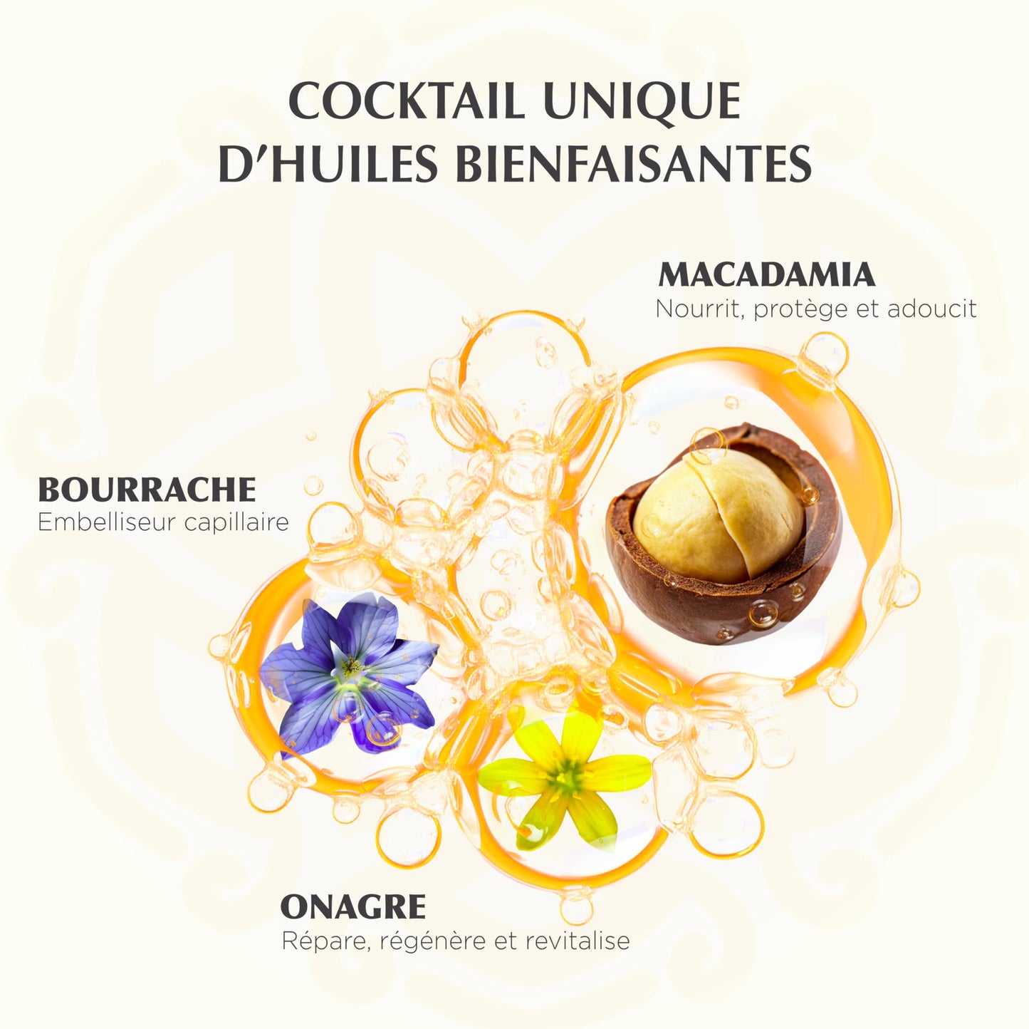 TAAJ | Huile Délhicieuse | Dry Beauty Oil | Body, Face & Hair | Nourishes, Protects & Revitalises the Skin | Satin Skin | Repaired Hair | 96% of natural ingredients |Vegan | 100 ml