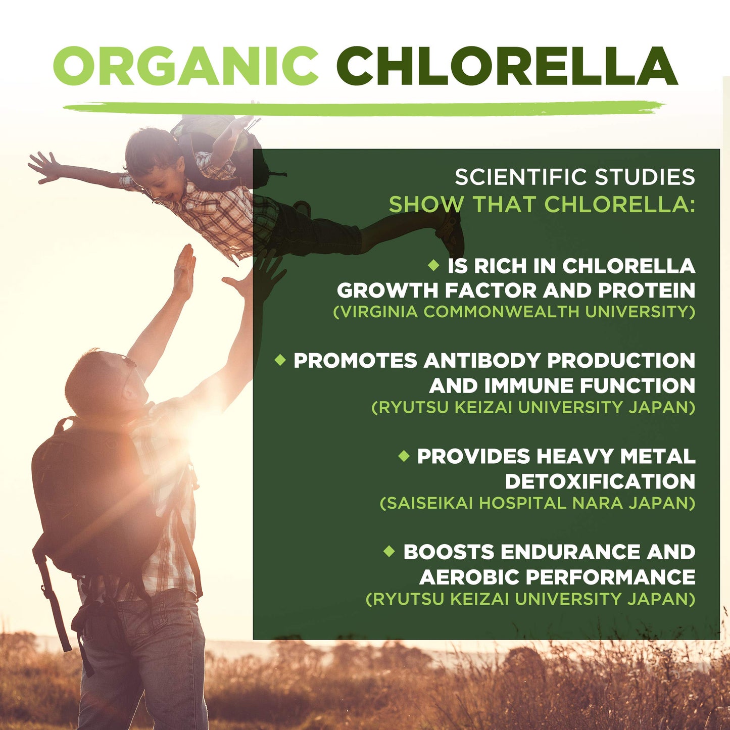 Chlorella Powder | Organic | 500g | Cracked Cell Wall | Energy & Natural Detox | High in Vitamin A, B12 & Iron | MySuperfoods