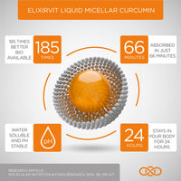 Elixirvit Liquid Curcumin with Vitamin D – 185x More Bioavailable Than Typical Turmeric/Curcumin Supplements – Advanced Turmeric Extract with NovaSOL – 60 High Strength Capsules