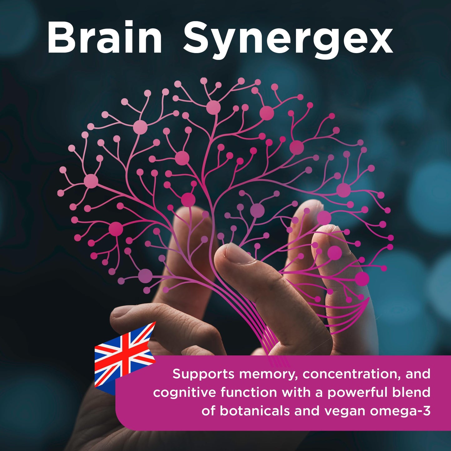 healthspan Healthspan Brain Synergex | 28 Day Supply | Brain Health Supplements | Ginkgo Biloba, Neuro-Vitamin Complex, Opti-Omega 3 & Phospholipid Complex
