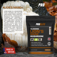 Lions Mane Mushroom Supplement 10,000mg - 120 Capsules Vegan High Strength 20:1 Extract � Lions Mane Capsule Not Powder or Tablets Made in The UK by PROELITE