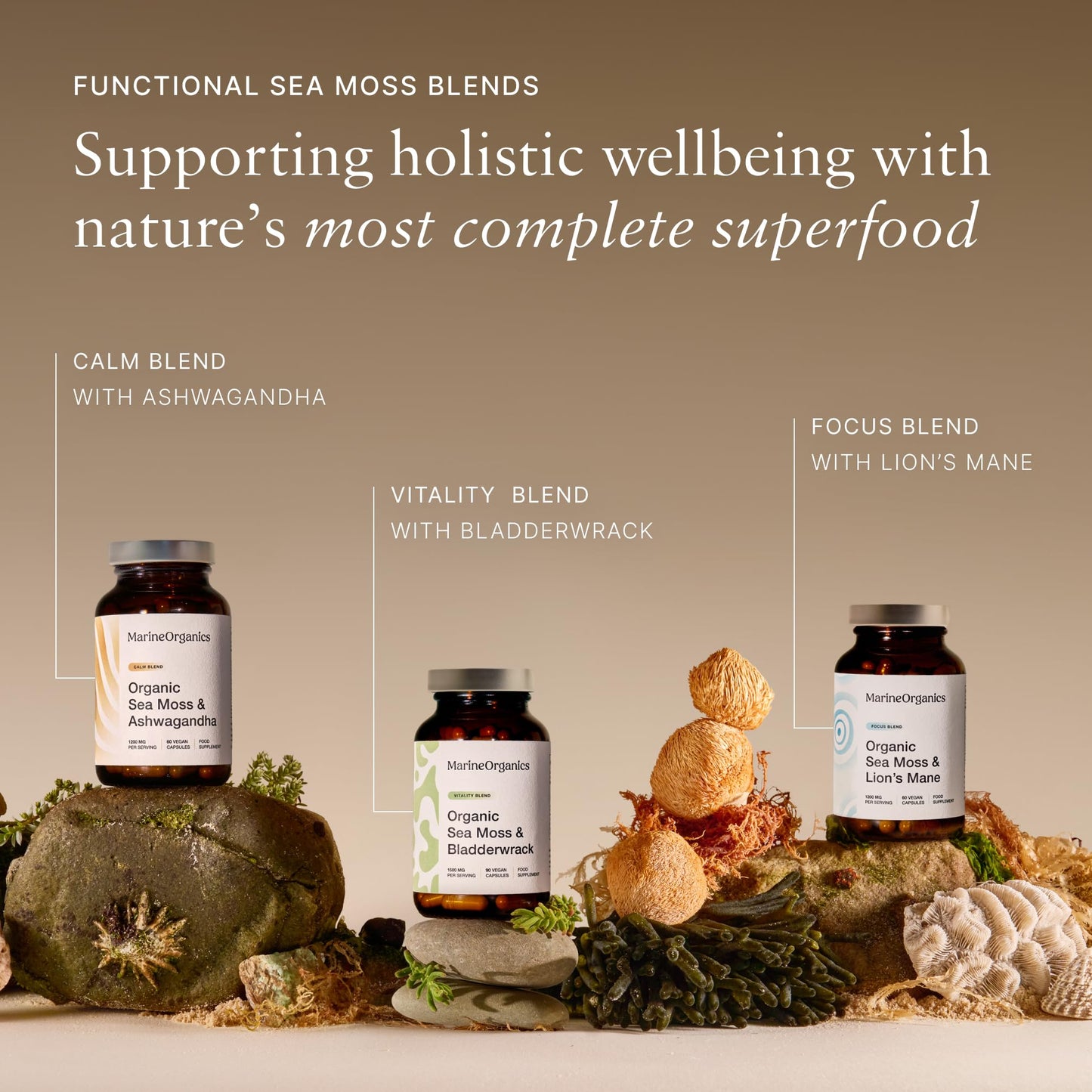 Marine Organics MarineOrganics Organic Sea Moss Capsules - 90 Irish Sea Moss and Bladderwrack Capsules - Iodine Tablets - UK Wild Harvested Seamoss - High Potency
