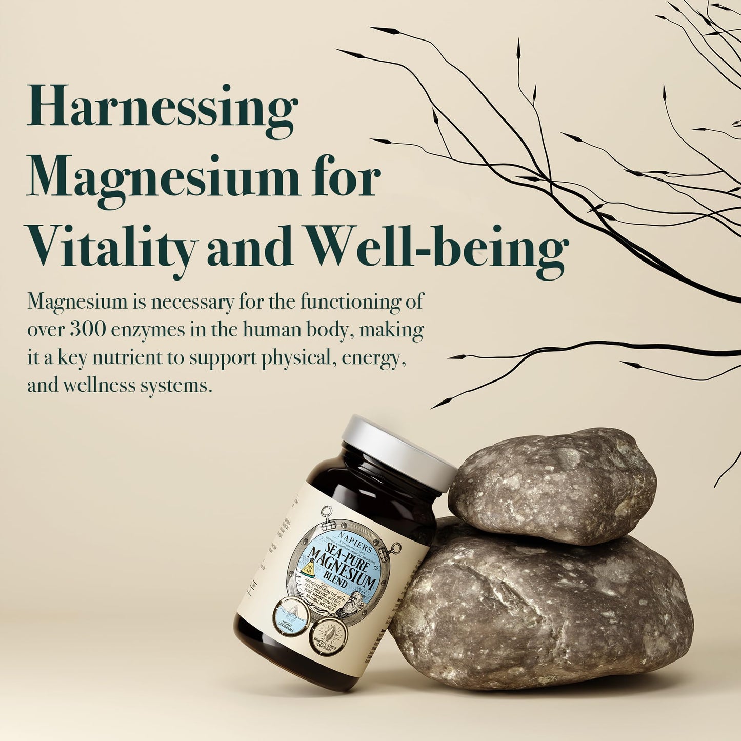 Napiers Sea Pure Magnesium - High Absorption Marine-Sourced Supplement - 250mg of Elemental Magnesium Hydroxide & Trace Minerals - 60 Capsules (1 Month Supply)
