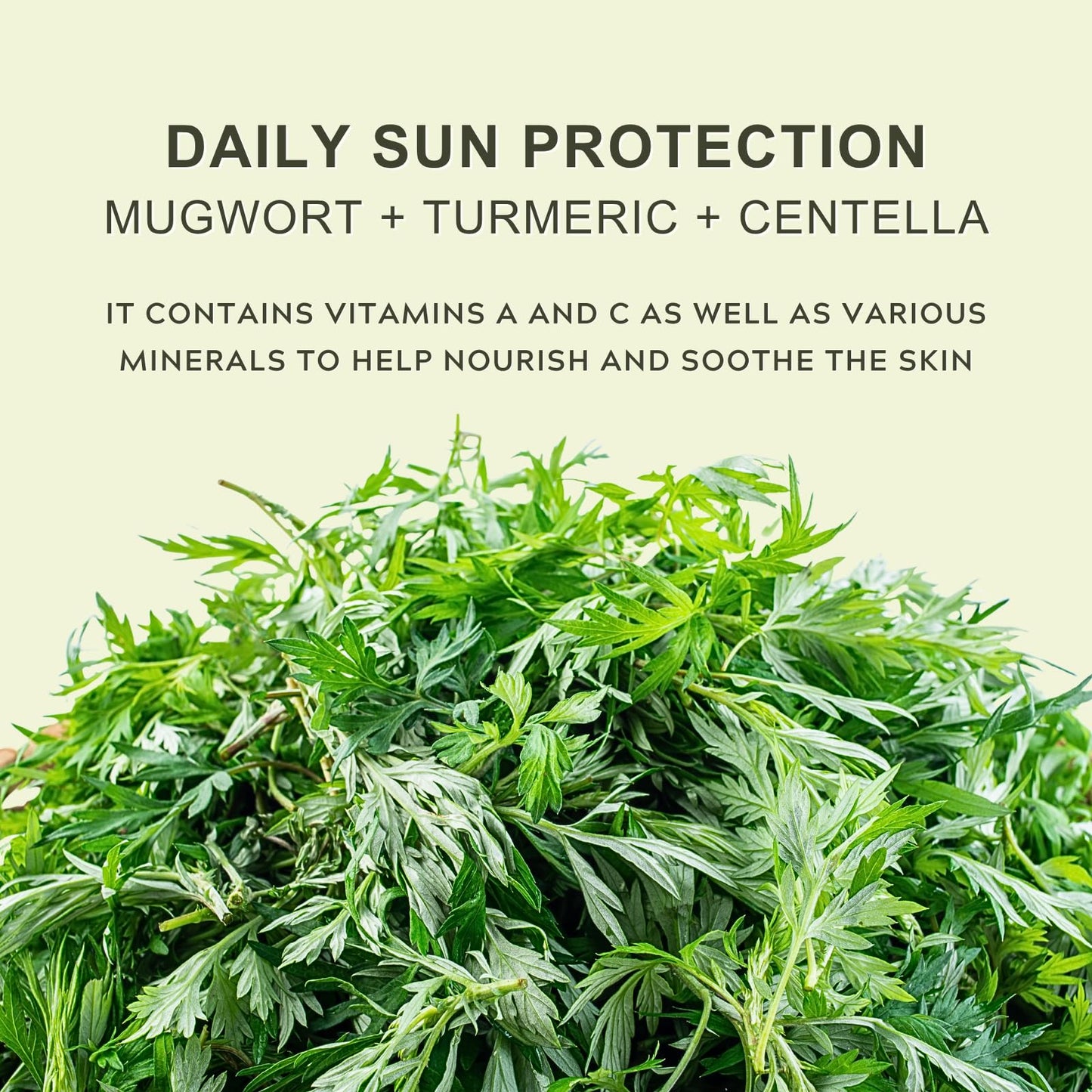 Matte Sun Stick SPF 50: Mugwort+Rice, Sunscreen Stick for Face & Body, Natural Roll on Sunscreen SPF 50, Waterproof Sun Cream Factor 50, Silky & Smooth, No White Cast, 15g