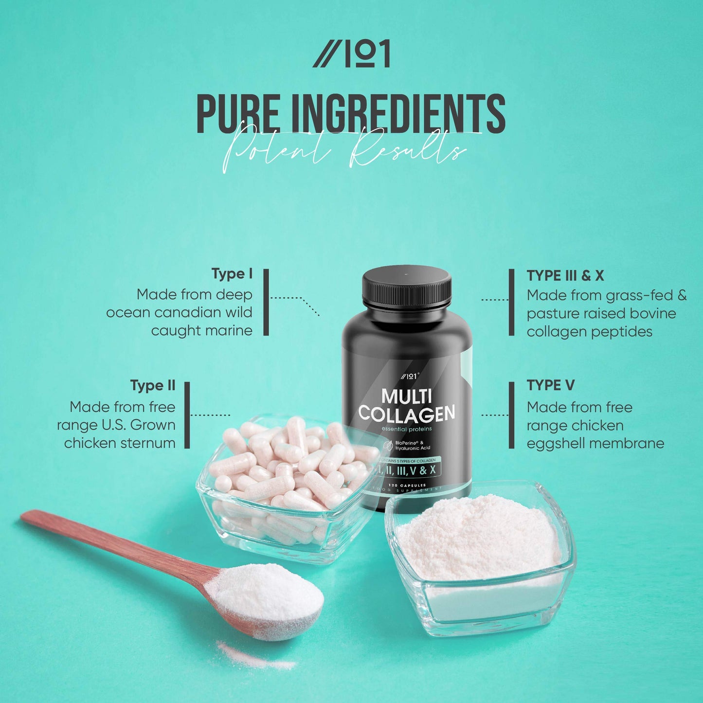 Multi Collagen Capsules - 240 Capsules - Types I, II, III, V & X - Wild Caught Fish, Grass Fed Bovine, Eggshell & Free-Range Chicken, Hyaluronic Acid & Vitamin C (4 Months Supply) by Alpha01