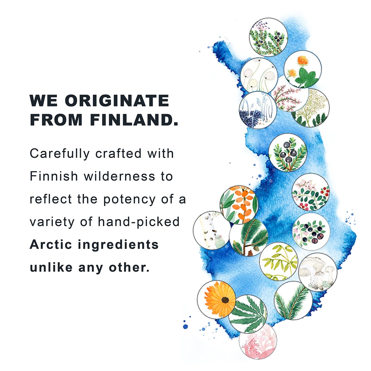 Lumene Nordic C Valo Brightening Day Fluid Mineral 50 ml, Lightweight Moisturizer SPF 30, Infused with Antioxidant Rich Wild Arctic Cloudberry and Vitamin C