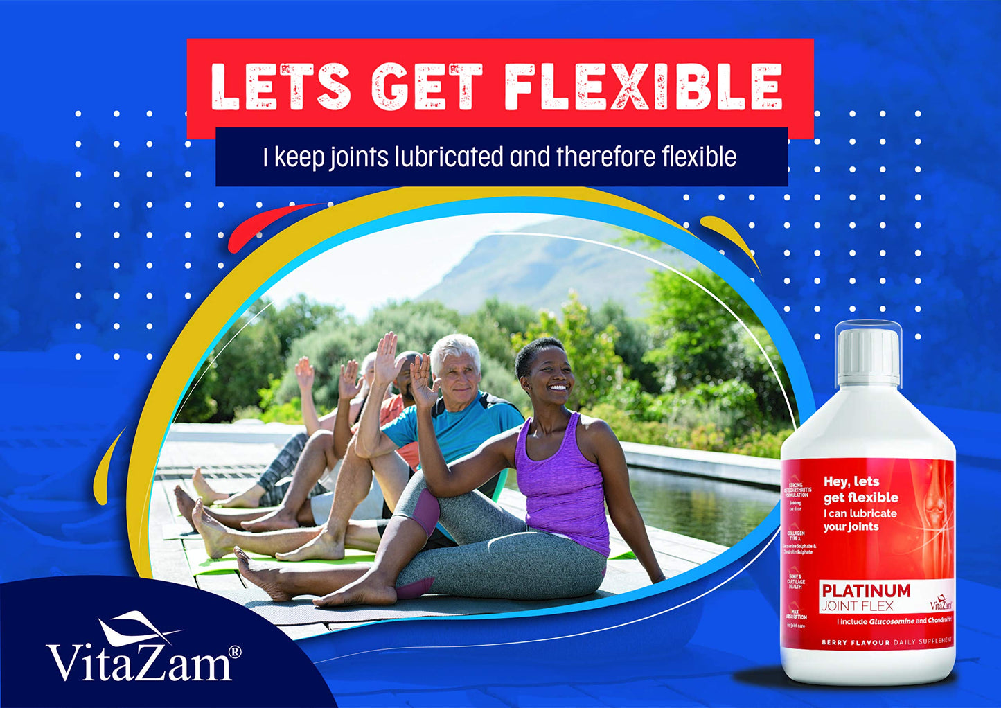 VitaZam Glucosamine and Chondroitin High Strength Platinum Joint Flex 500 ml Liquid MSM, Chondroitin Sulphates with Strong Osteoarthritis Formulation for Bones and Joint Health, Berry Flavour