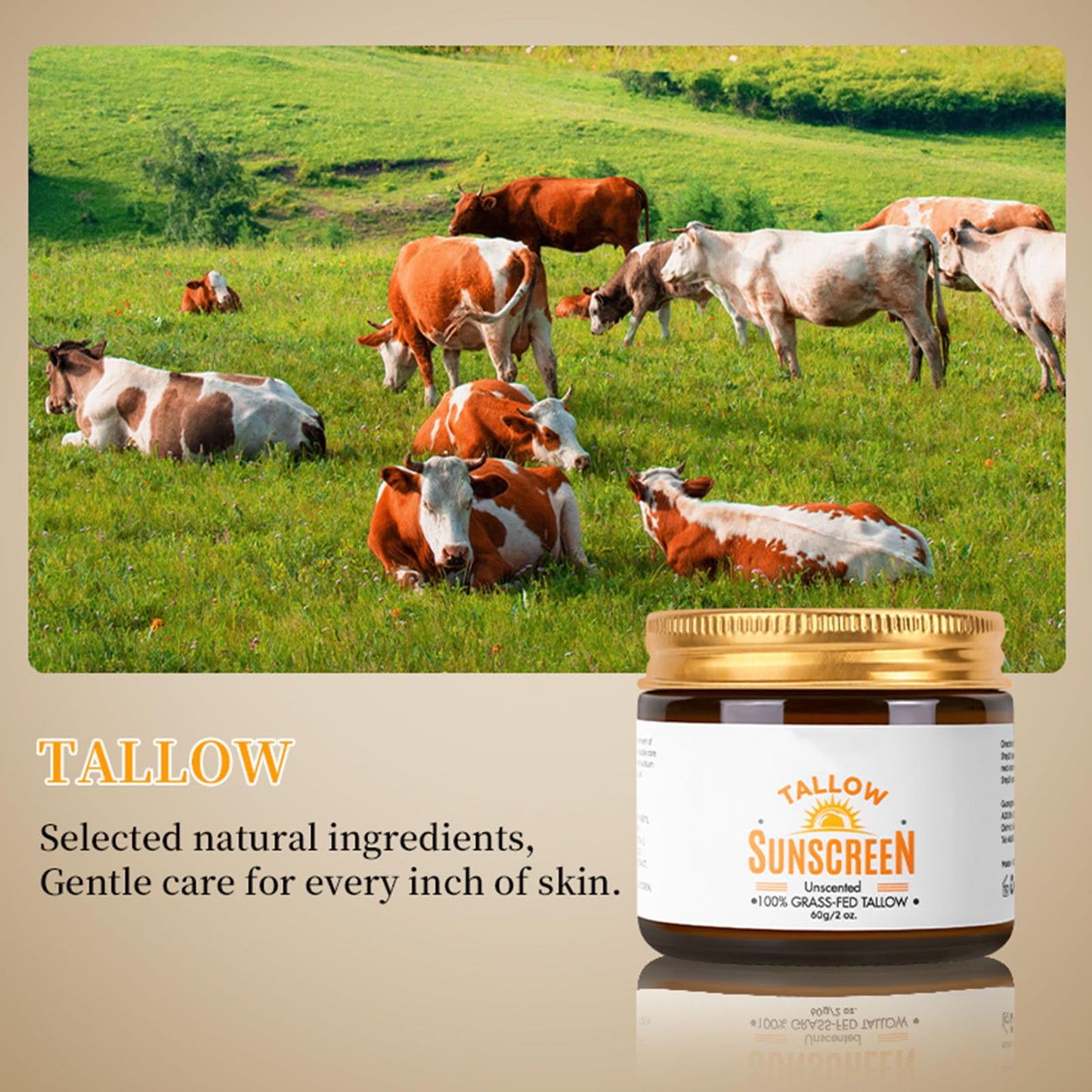 Tongyend Beef Tallow Sunscreen SPF 50+, Face Sun Cream 100% Grass Fed Tallow, Beef Tallow Natural Sunscreen for Face & Body, Beef Tallow for Skin - Sweat & Water Resistant, for Dry Sensitive Skin