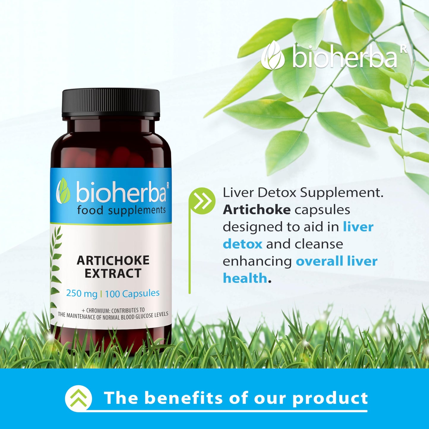 Artichoke Capsules 250 mg - 200 High-Potency Capsules for Liver Health and Detox by BIOHERBA