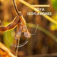 SOYA Isoflavones Extract 15,000mg – High Strength 40% Isoflavones – 90 Vegan Capsules – High Strength Glycine Max Extract –3 Months Supply – by Alpha01