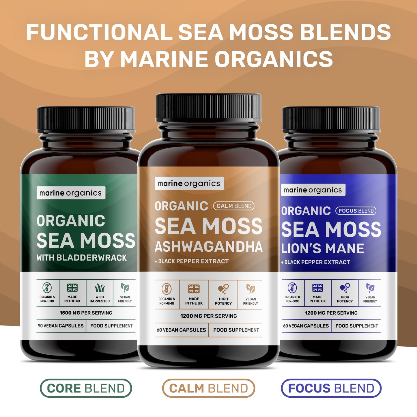 Marine Organics Organic Irish Sea Moss & Ashwagandha Capsules - Calm Blend - 60 Capsules - Ashwagandha High Strength 1200mg w/Black Pepper - Immunity & Stress Support - Vegan, Non-GMO, UK Made, Certified Organic