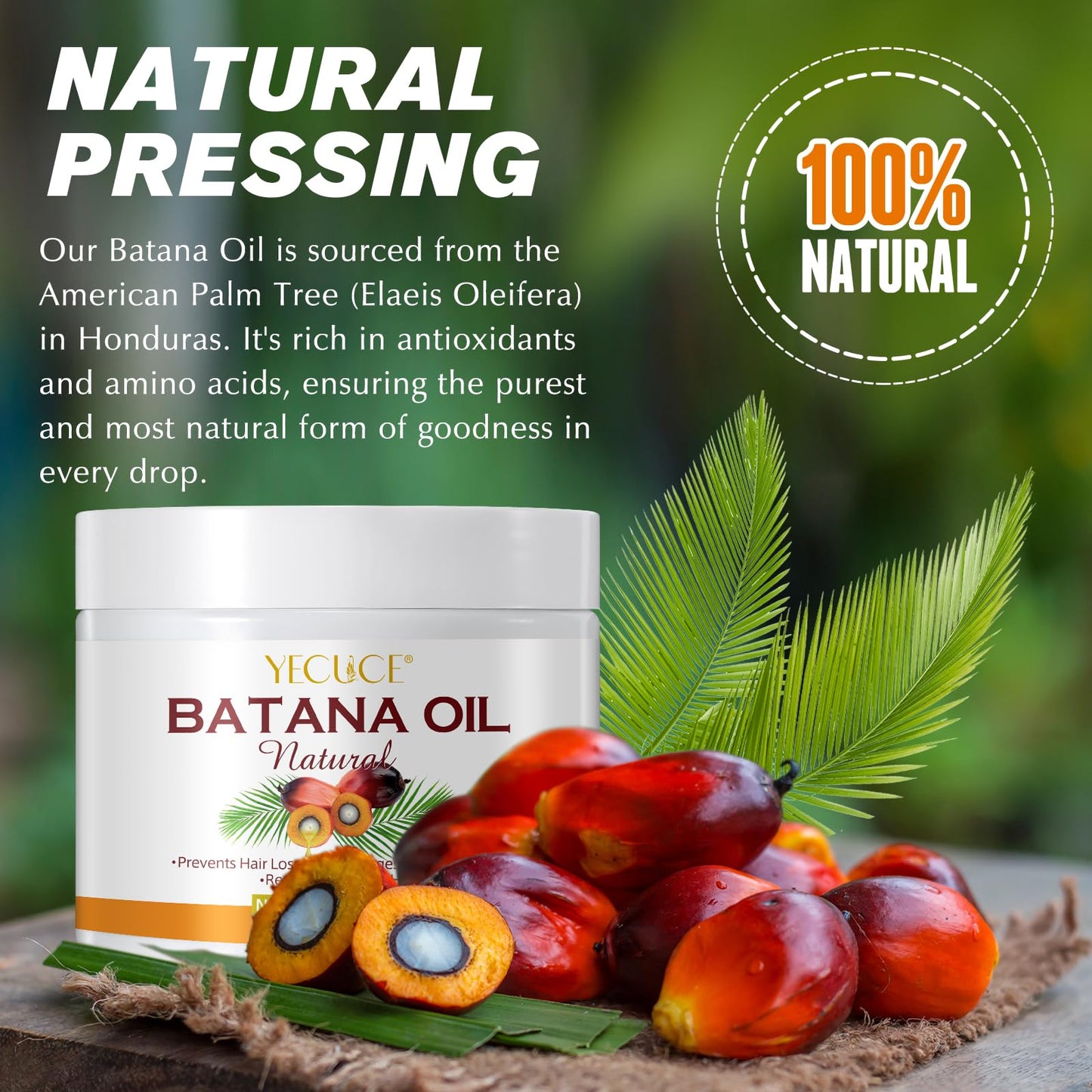 Uruses Raw Batana Oil for Hair Growth, Miracle Oil from Honduras Reduce Hair Loss and Split Ends, Repair Damaged Hair and Scalp and Enhance Hair Strength for Men & Women - 7.76 OZ