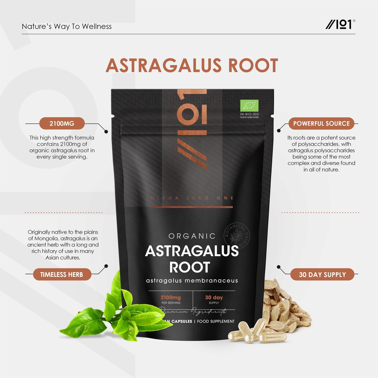 ALPHA01 Organic Astragalus 2100mg – Potent & Clean Formula - Organic Certified - Resealable and Recyclable Pouch – 90 Vegan Capsules by Alpha01