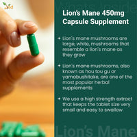 VED Ved Lion’s Mane Supplement 450mg, Lion's Mane Mushroom 15:1 Extract 90 Capsule (3 Months Supply)
