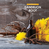 Organic Dandelion Root 1400mg - High Strength Taraxacum Officinale - Non-GMO, Gluten Free, Halal. ֿ120 Vegan Capsules