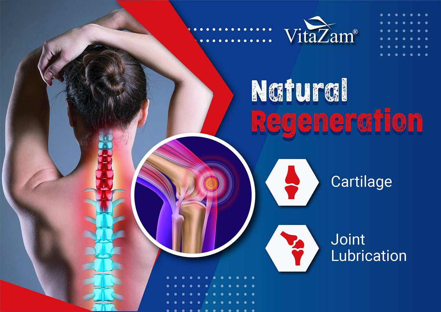 VitaZam Glucosamine and Chondroitin High Strength Platinum Joint Flex 500 ml Liquid MSM, Chondroitin Sulphates with Strong Osteoarthritis Formulation for Bones and Joint Health, Berry Flavour