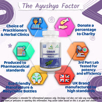Ayushya Cissus Quadrangularis (Hadjod) Capsule, 60 Capsules, Natural
