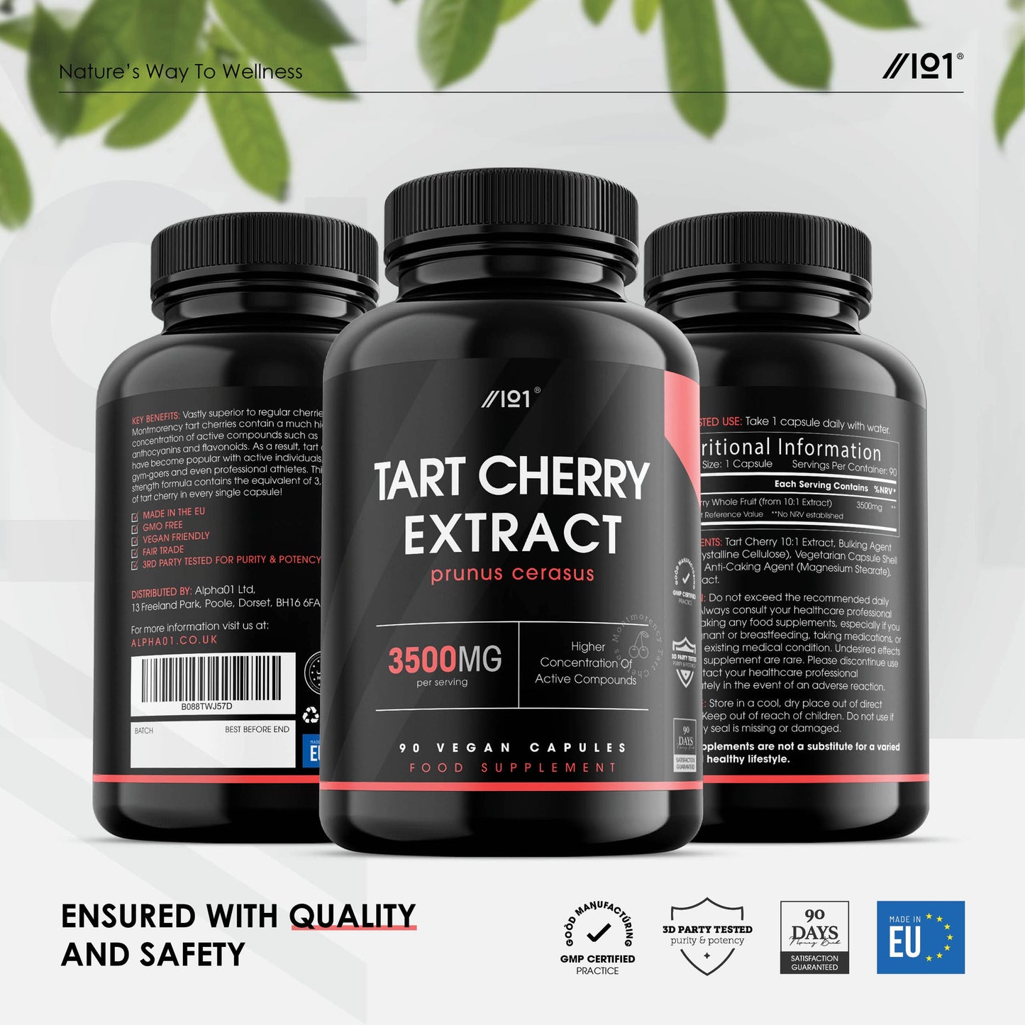 Montmorency Cherry 3500mg - High Strength Tart Cherry Extract - Antioxidant Rich - Non-GMO, Gluten Free Supplement - No Artificial Preservatives 90 Capsules