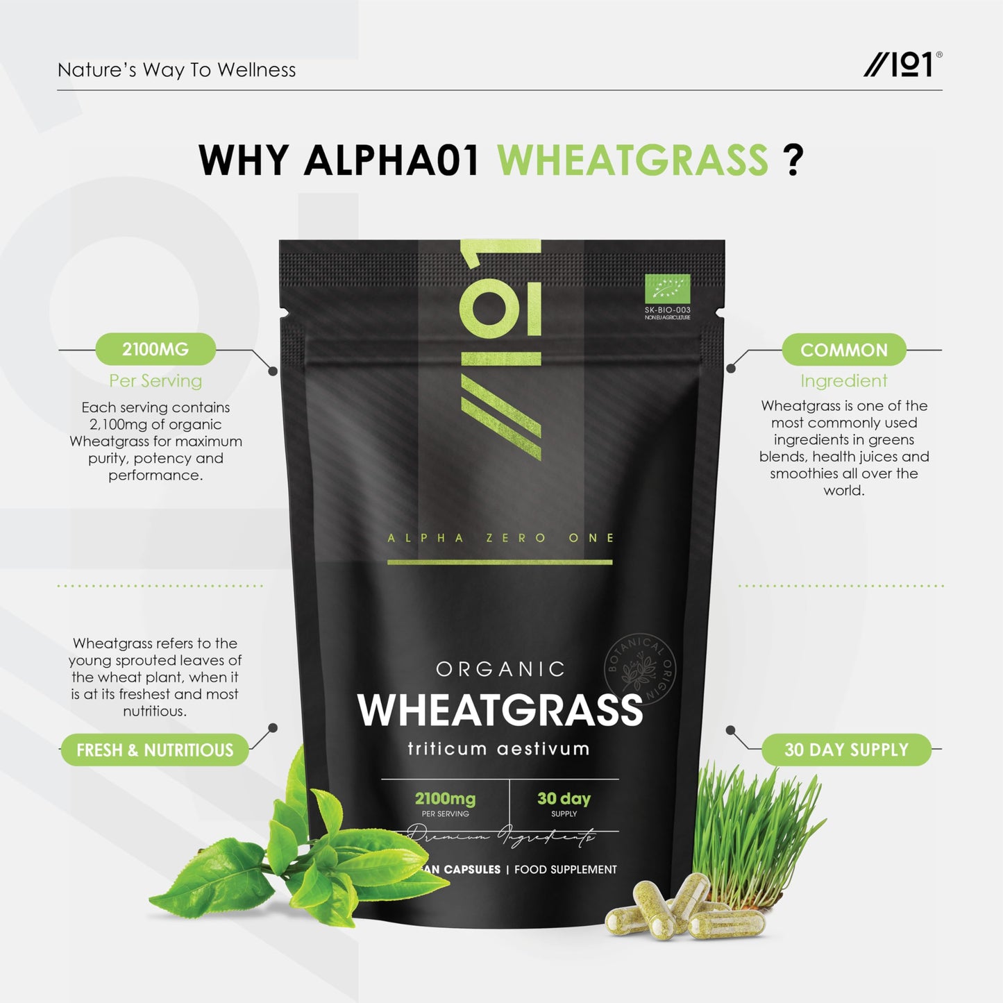 ALPHA01 Organic Wheatgrass 2100mg - High Strength Triticum Aestivum Supplement - 90 Vegan Capsules - Resealable and Recyclable Pouch - by Alpha01