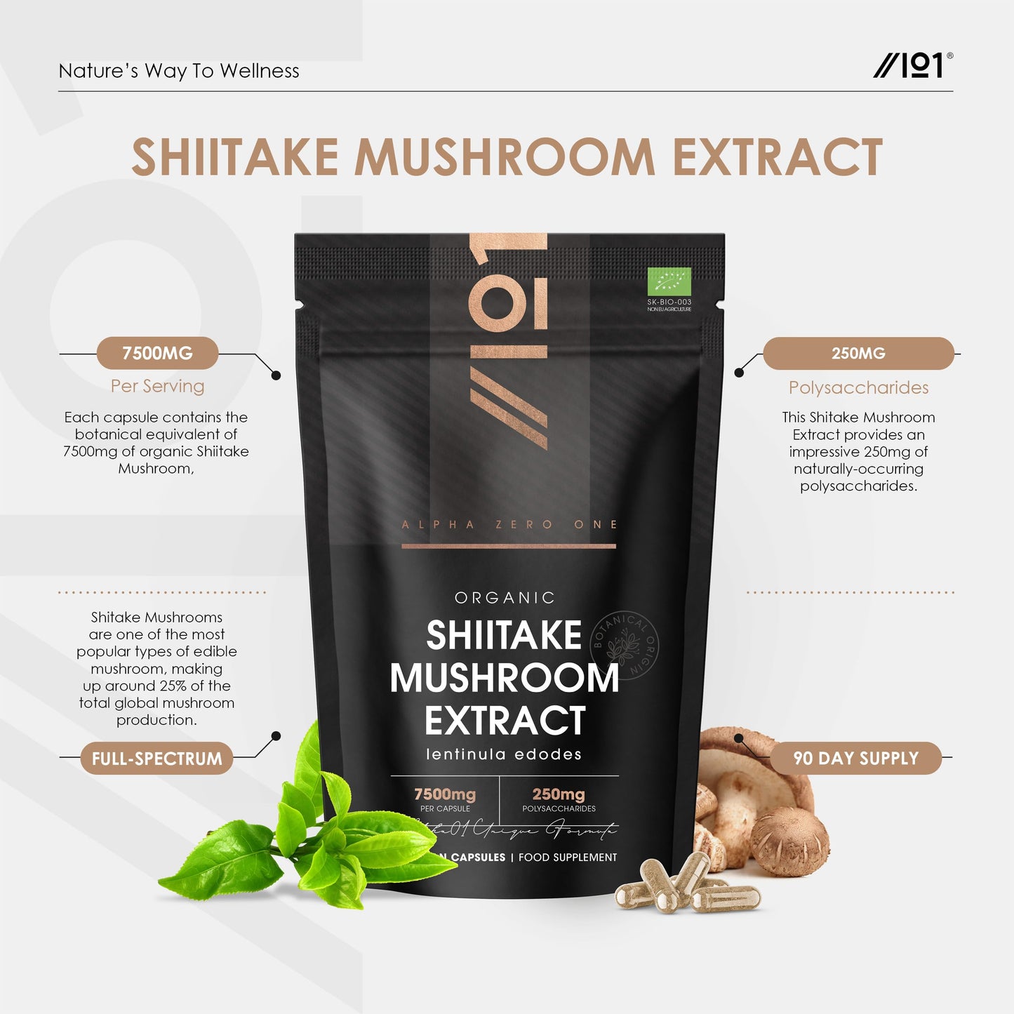 ALPHA01 Organic Shitake Extract 7500mg – High Strength 50% Polysaccharides Mushroom Supplement – 90 Vegan Capsules (3 Months Supply) – by Alpha01