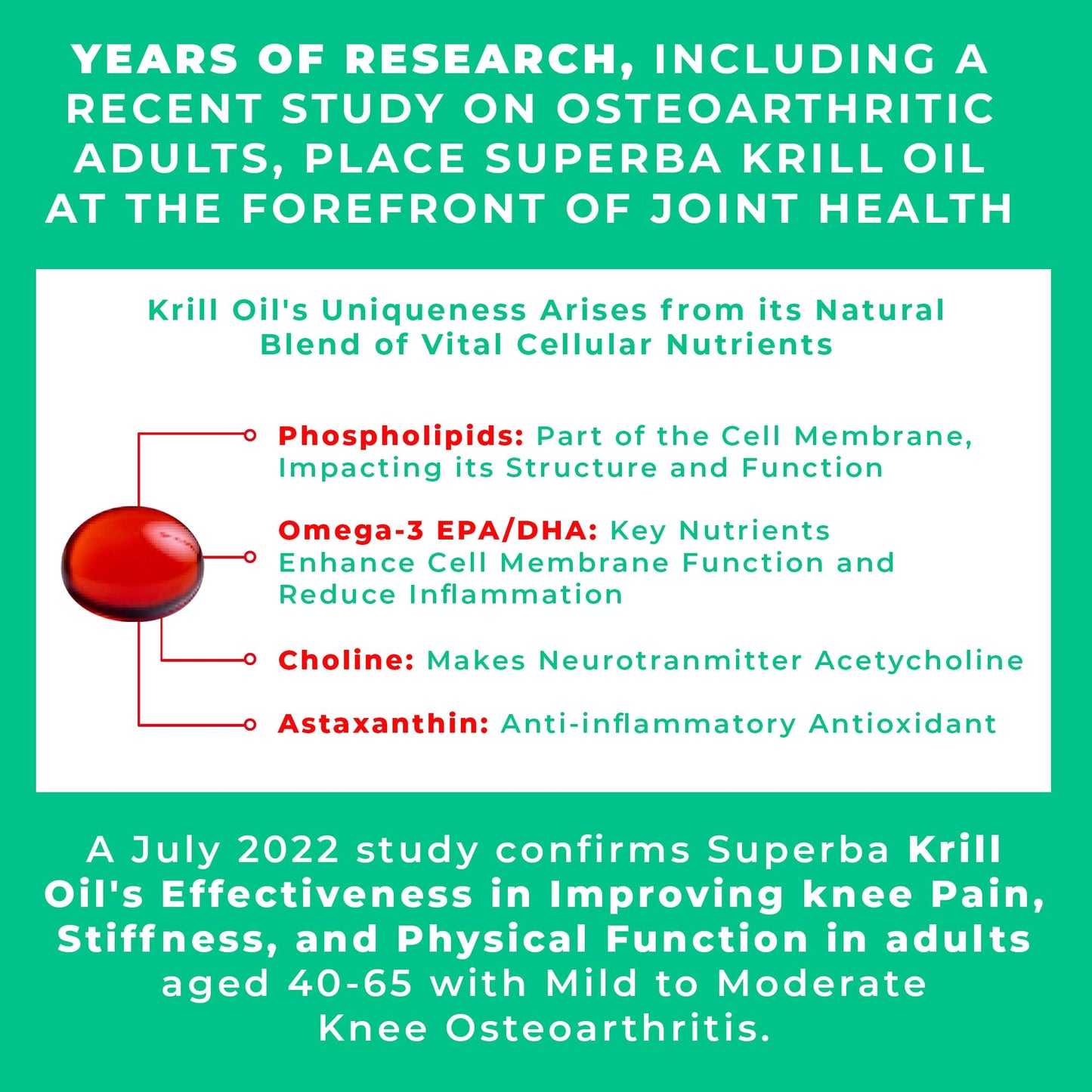 LOVE LIFE SUPPLEMENTS Krill Oil Omega 3 Capsules High Strength 1000mg | Sustainably Fished in Antarctic | 60 Red Softgels | Joint Care Supplements | with Powerful Antioxidant Astaxanthin and Phospholipids for Absorption