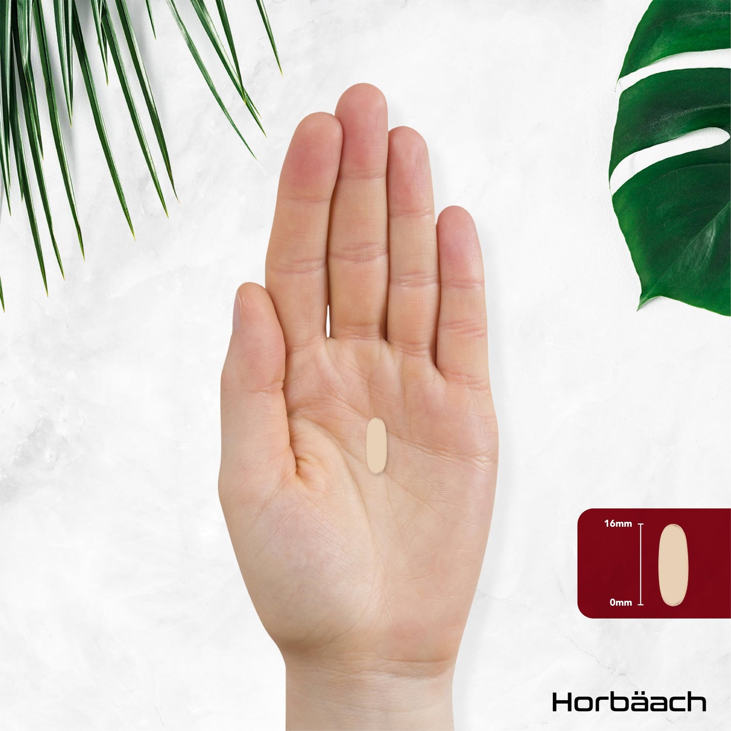 Horbäach Rosehip Tablets 10,000mg | 120 Count | High Strength 20:1 Naturally Sourced Rosa Canina Extract | Suitable for Vegans | By Horbaach
