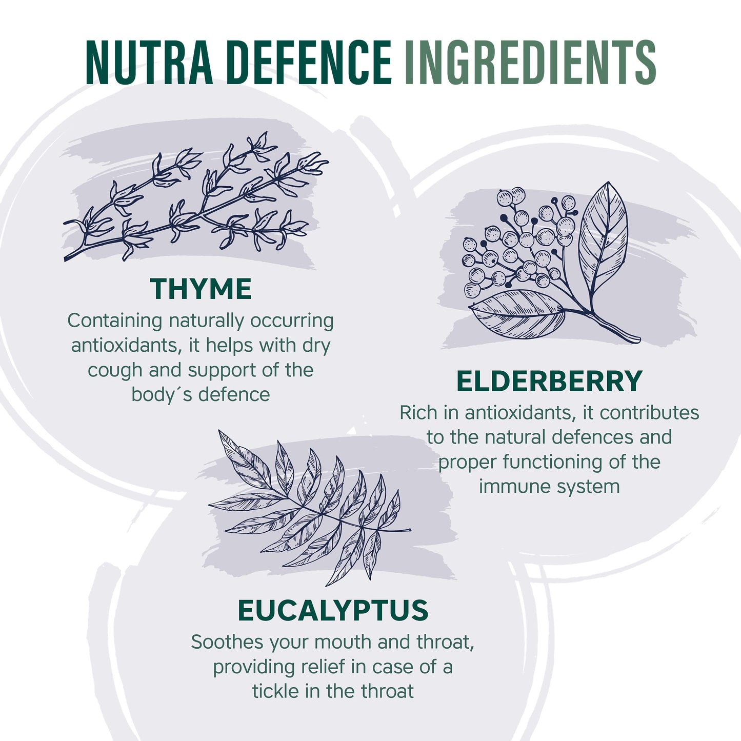 NUTRADEFENCE - Immune System Vitamins | Immune System Booster - 30 Tablets - Immune Support for Cold and Flu - Contains Elderberry, Eucalyptus, Vitamin D, Vitamin C & Zinc - by NutraVit