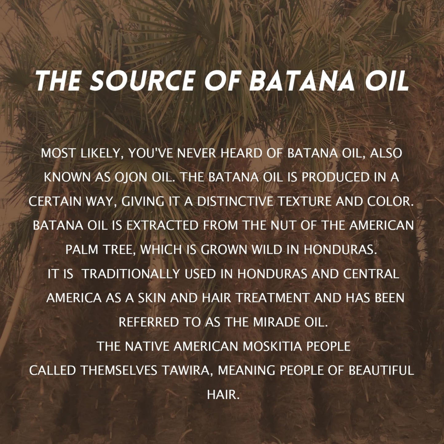 Ingzy Batana Oil For Hair Growth, 100% Pure Batana Oil, Natural Hair Growth Oil and Conditioner for for Thickens Hair, Repairs Damage, Eliminates Frizz & Split Ends