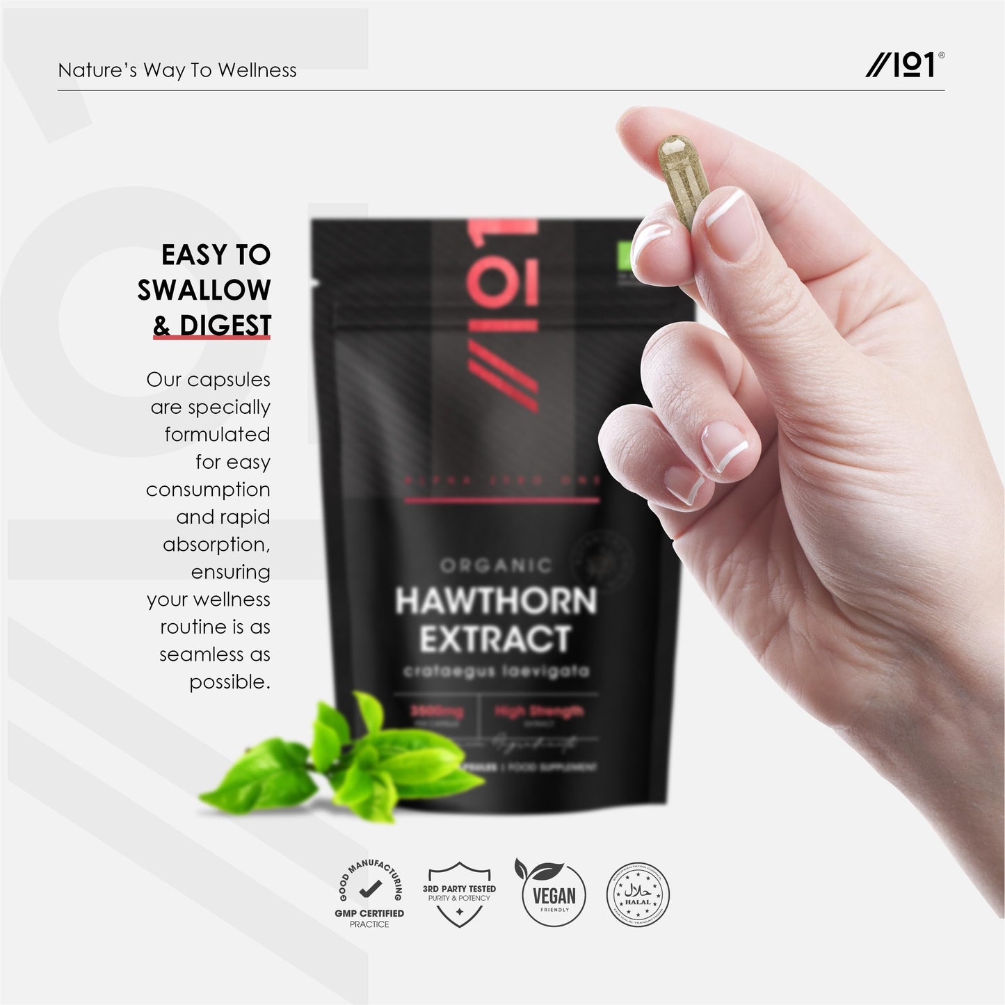 ALPHA01 Organic Hawthorn Berry Extract 3500mg – 90 Vegan Capsules – High Strength Hawthorn Berry Supplement 7:1 Extract – Resealable and Recyclable Pouch by Alpha01