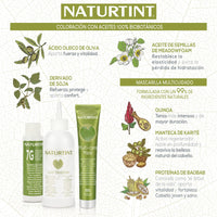 NATURTINT Naturtint 1352-40113 Permanent Coloration