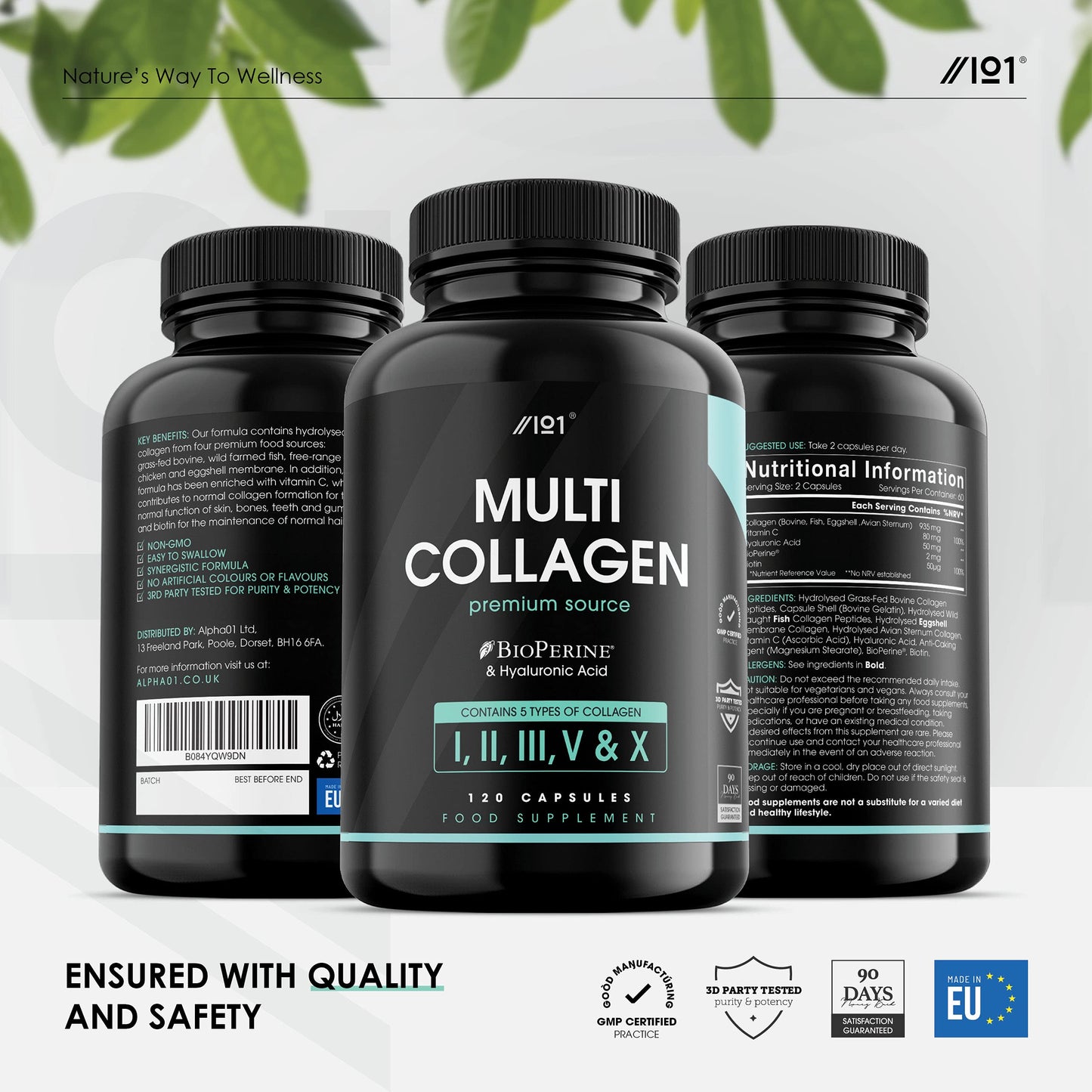 Multi Collagen Capsules - 240 Capsules - Types I, II, III, V & X - Wild Caught Fish, Grass Fed Bovine, Eggshell & Free-Range Chicken, Hyaluronic Acid & Vitamin C (4 Months Supply) by Alpha01
