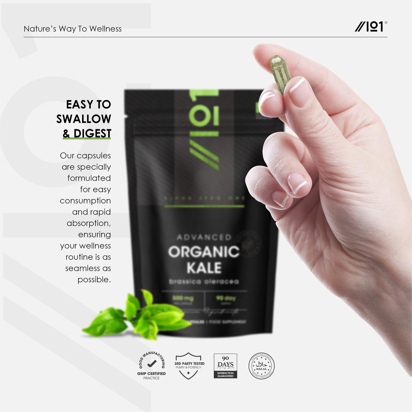 ALPHA01 Organic Kale 500mg – High Strength Brassica Oleracea Supplement – 90 Vegan Capsules (3 Month Supply) – Resealable and Recyclable Pouch – by Alpha01