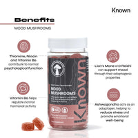 Known - Mood Mushrooms - 60 x Two-a-Day Vegan Gummies with Reishi Mushrooms, Lions Mane and Ashwagandha - Halal Apple Pie Flavoured Adaptogenic Mushroom Gummy - Nootropic Supplement for Mood & Stress