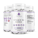 Generic Vitamin B6 200 mg High Strength 365 Tablets Vegan Tablets 1 Year Supply – Gluten Free Supplements for Red Blood Cell Formation, Dietary Supplement for Your Immune and Nervous System