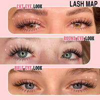 Goddvenus Wispy Lash Clusters Natural Eyelashes Individual C Curl 260pcs Manga Look Up + Bottom Eyelash Extensions for DIY Lash Extension at Home