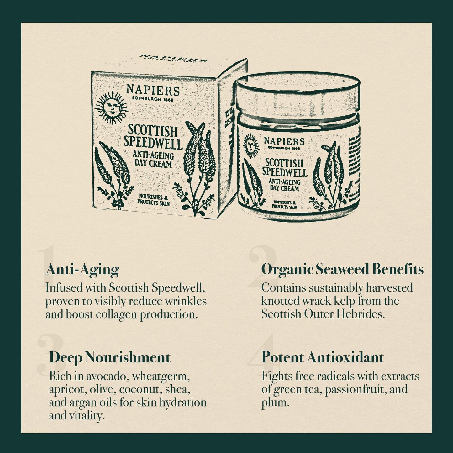 Napiers Speedwell Ageless Day Cream - Anti-Aging & Wrinkle Reduction with Scottish Speedwell & Organic Seaweed - 60ml